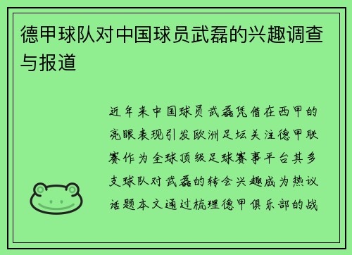 德甲球队对中国球员武磊的兴趣调查与报道
